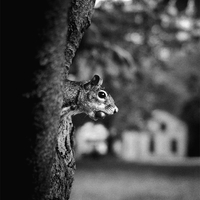 The Decisive Moment  