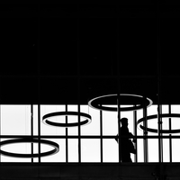 Human Geometries