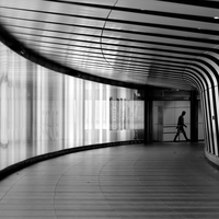 Human Geometries
