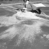 The Way of the Salt Worker