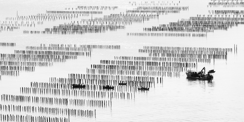 Sea farmers