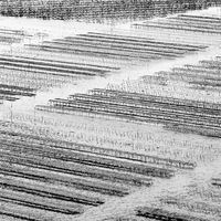 Sea farmers