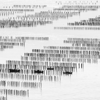 Sea farmers