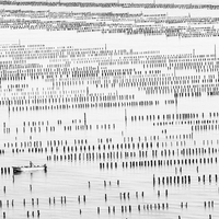 Sea farmers