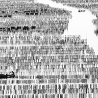 Sea farmers