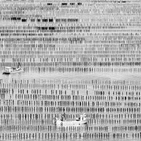Sea farmers