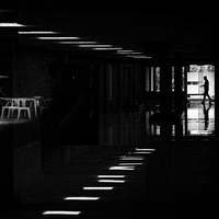 Lonely Night