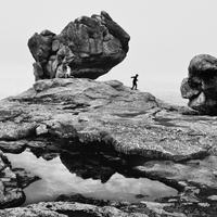 Réflexions le long des rivages