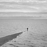 Réflexions le long des rivages