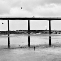 Réflexions le long des rivages