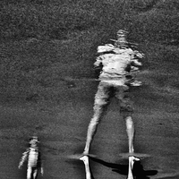 Réflexions le long des rivages