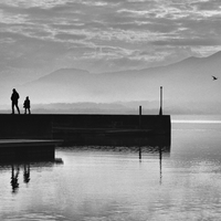 Réflexions le long des rivages