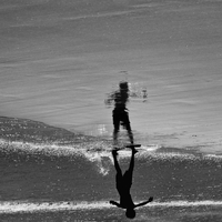Réflexions le long des rivages
