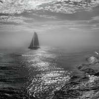 Réflexions le long des rivages