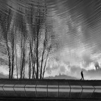 Réflexions le long des rivages