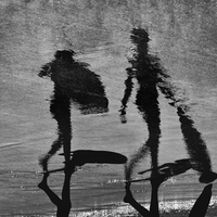 Réflexions le long des rivages