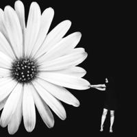 Hommage à Gilbert Garcin Series