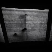 NOIR_