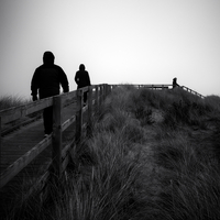 NOIR_