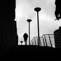 NOIR_