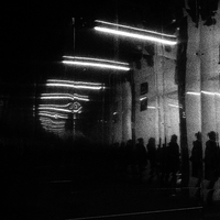 NOIR_