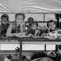 Caged Family