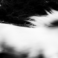 Neve