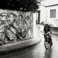 Au plus prés des Cubains