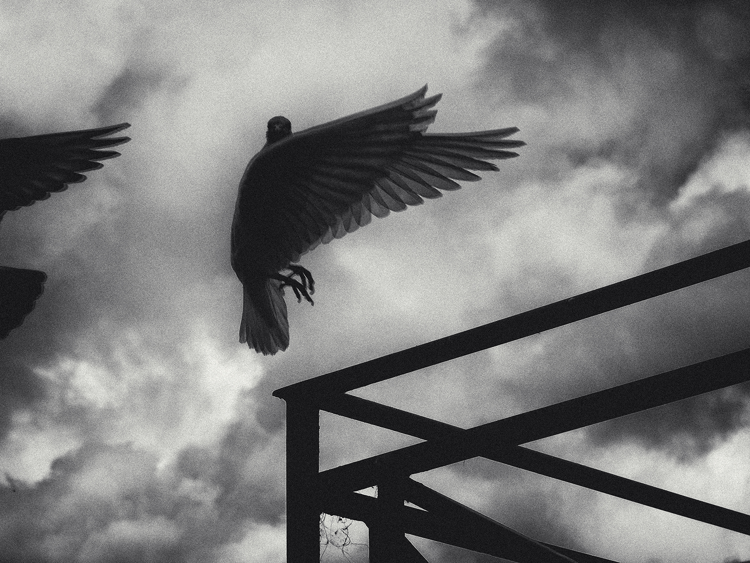 Wings Of Desire 