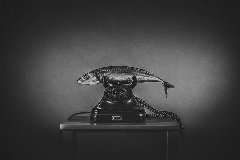 Quiet as a Fish