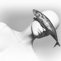 Quiet as a Fish