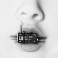 Electronic Lips