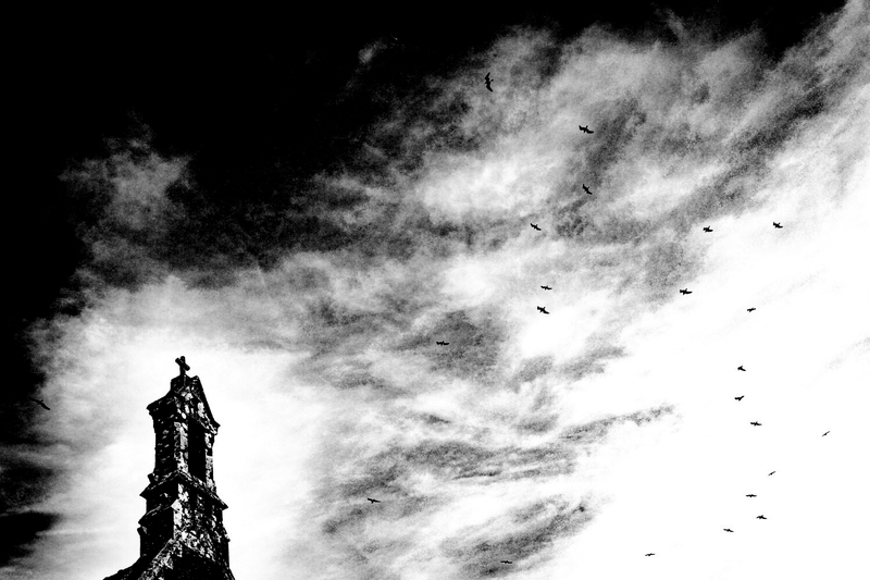 The birds bell tower