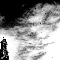 The birds bell tower