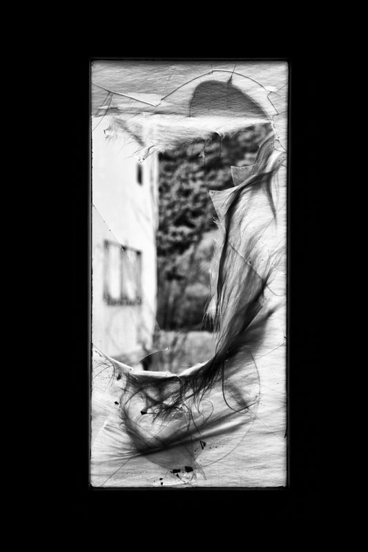 Echoes of the Soul