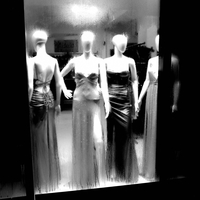 Window