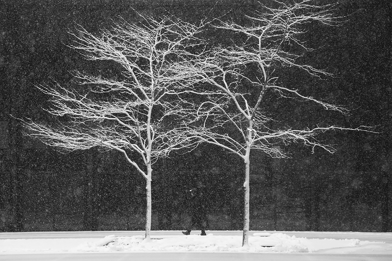 Silent dawn 