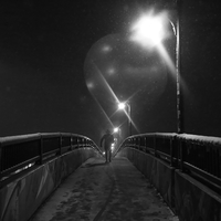 Silent dawn 
