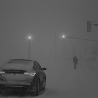 Silent dawn 