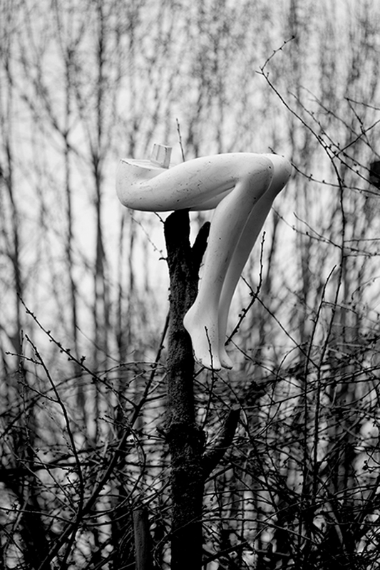 The Nature of all Things
