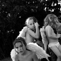 Fallen Angels