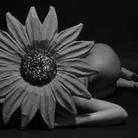 Fleur humaine