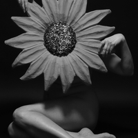 Fleur humaine
