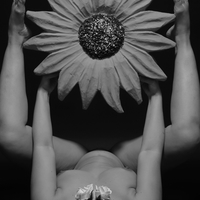 Fleur humaine