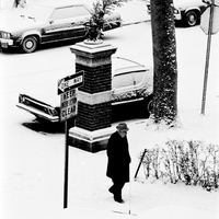 Brooklyn snow through my window