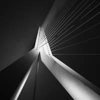Foggy Bridge