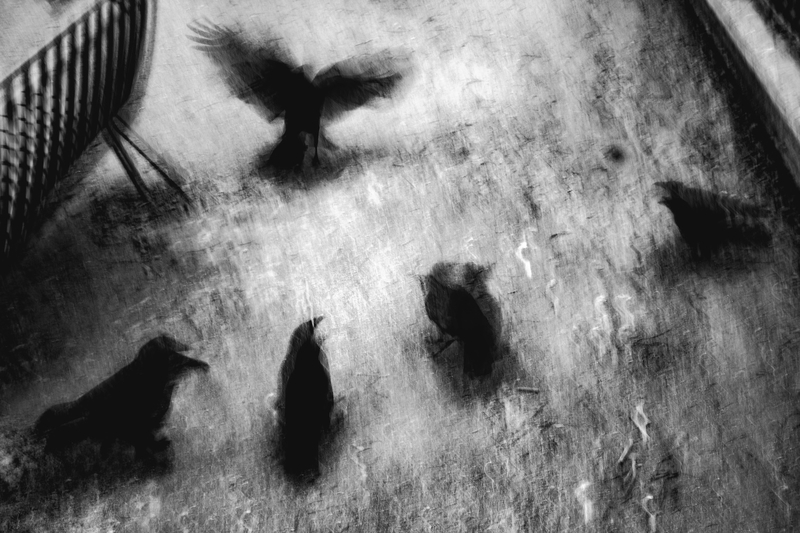 Glimpse of Us