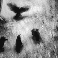 Glimpse of Us