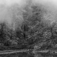 “Whispers in the Fog”