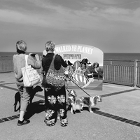 Southwold Pier